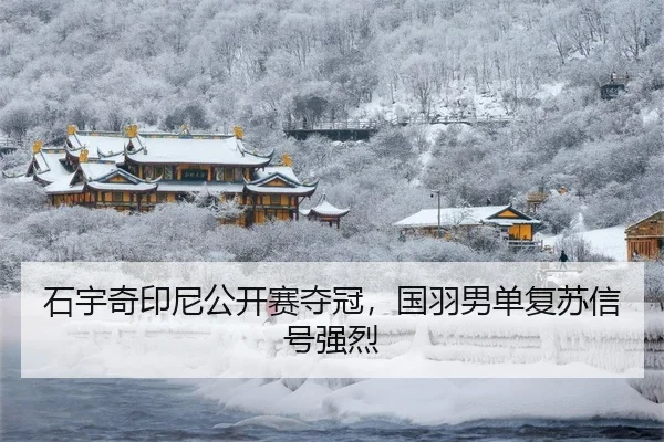 shi-yu-qi-yin-ni-gong-kai-sai-duo-guan-guo-yu-nan-dan-fu-su-xin-hao-qiang-lie-3-164.jpg