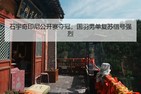 石宇奇印尼公开赛夺冠，国羽男单复苏信号强烈