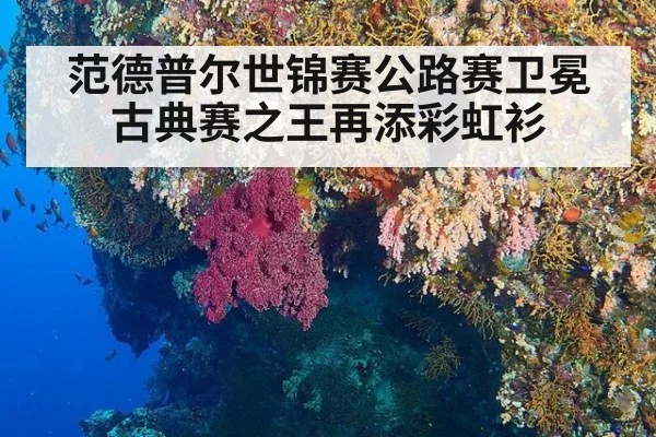 范德普尔世锦赛公路赛卫冕古典赛之王再添彩虹衫