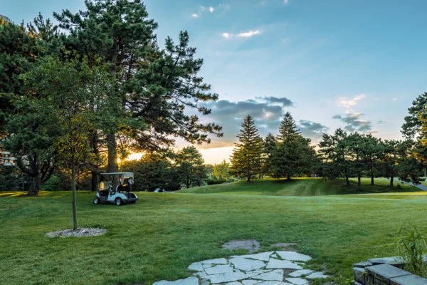 golf course sunset